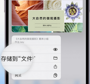 东明apple维修中心分享iPhone文件应用中存储和找到下载文件