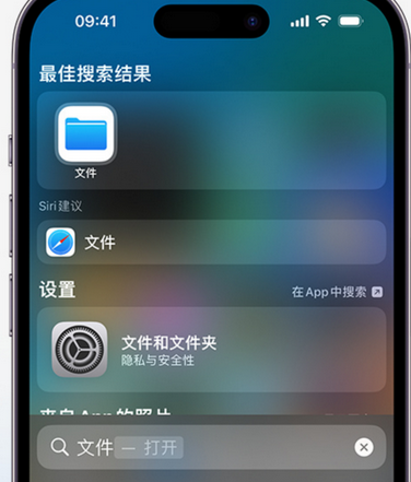 东明apple维修中心分享iPhone文件应用中存储和找到下载文件 