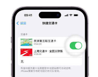 东明apple维修点分享iPhone上更换Apple Pay快捷交通卡手绘卡面 