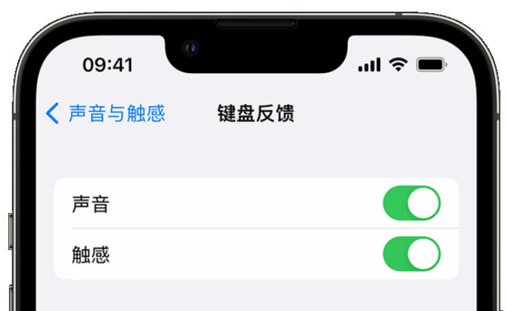 东明苹果手机维修分享iPhone 14触感键盘使用方法 