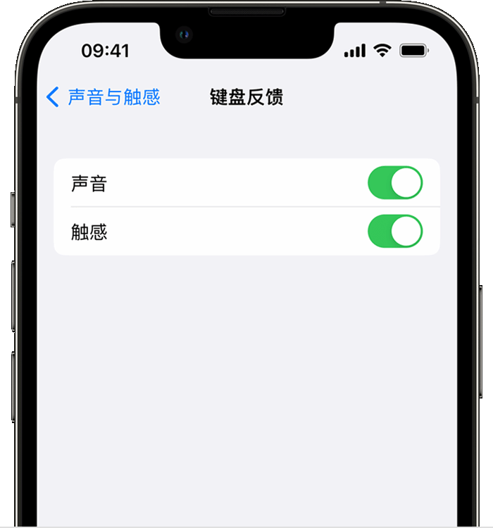 东明苹果14维修店分享如何在 iPhone 14 机型中使用触感键盘 