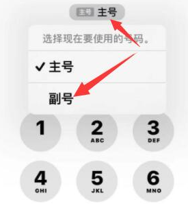 东明苹果14维修店分享iPhone 14 Pro Max使用副卡打电话的方法 