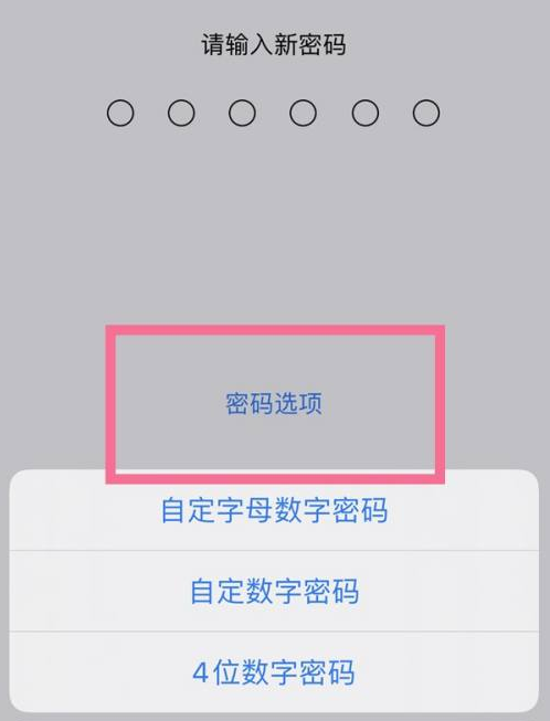 东明苹果14维修分享iPhone 14plus设置密码的方法 