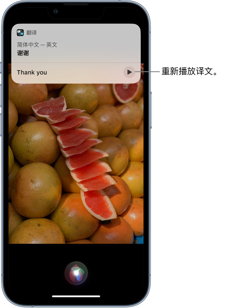 东明苹果14维修分享 iPhone 14 机型中使用 Siri：了解 Siri 能帮你做什么 