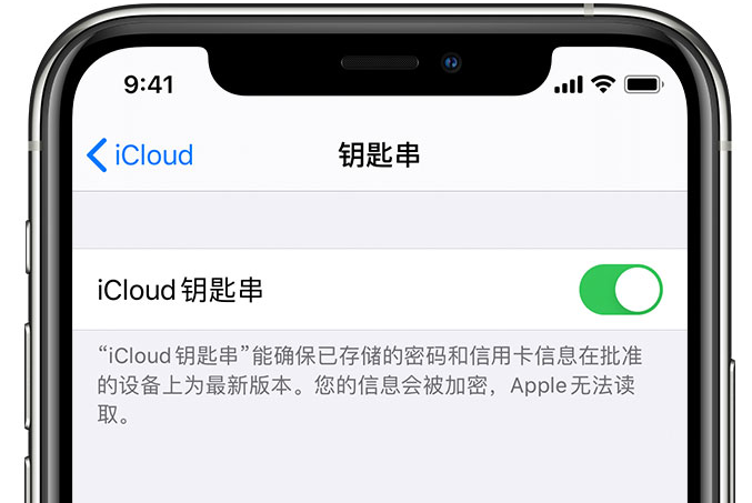 东明苹果手机维修分享在 iPhone 上开启 iCloud 钥匙串之后会储存哪些信息 