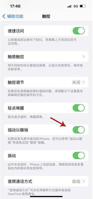 东明苹果手机维修分享iPhone手机如何设置摇一摇删除文字 