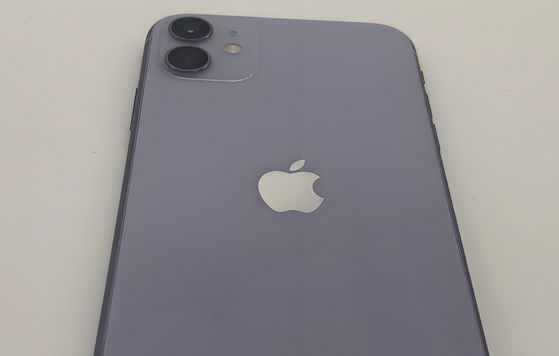 东明苹果11系统维修分享iPhone11手机系统崩溃无法开机如何解决 